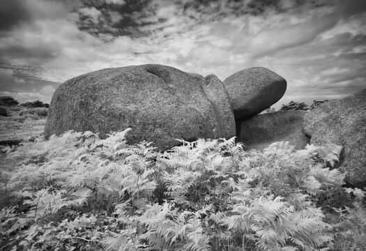 La tortue rock formation, turtle, &Icirc;le Renote, rocky coast along the Sentier des douaniers, Tr&eacute;gastel, C&ocirc;te de Granit Rose, Cotes d'Armor, Brittany, France