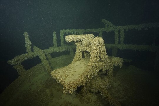 An old steering position of a shipwreck, with mussels, quagga triangle mussel (Dreissena rostriformis bugensis), invasive species, covered, in a calm environment, dive site wreck of the Jura, Lake Constance, Bottighofen, Switzerland, M&uuml;nsterlingen, Germany