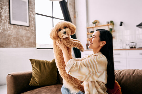 oman playing with toy poodle at home.