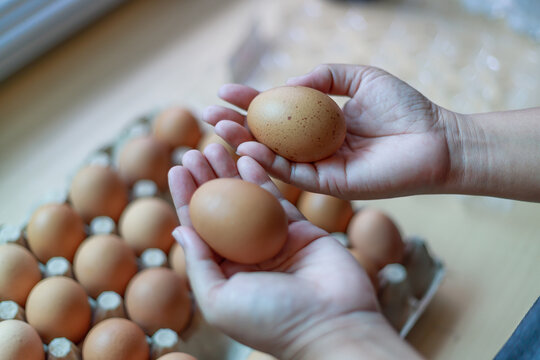 Hand Selecting Fresh Chicken Eggs from Egg Cartons