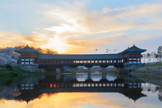 Woljeonggyo Bridge during the cherry blossom season in spring. Gyeongju, South Korea.