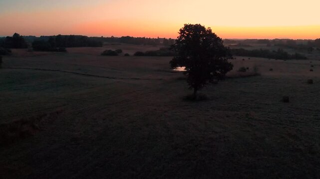 sunrise
