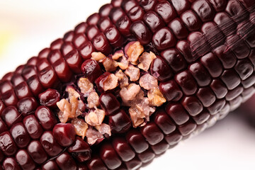 Fresh Black Sticky Corn with Sweet Jade and Amber Kernels Close-up Food Photography © BuiThi