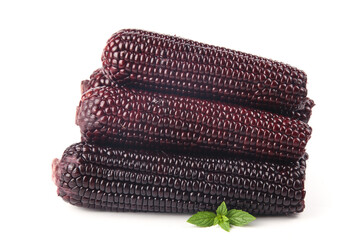 Fresh Black Sticky Corn Cobs with Purple Kernels and Mint Garnish © BuiThi