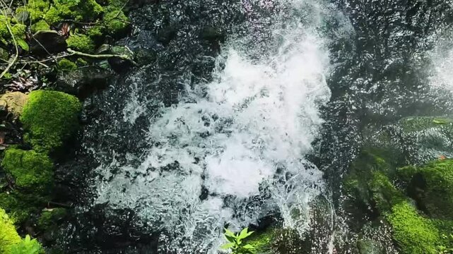 Vibrant close-up captures the powerful rush and dynamic churn of crystal clear water cascading over moss-covered rocks, showcasing nature's energy in a serene forest stream
