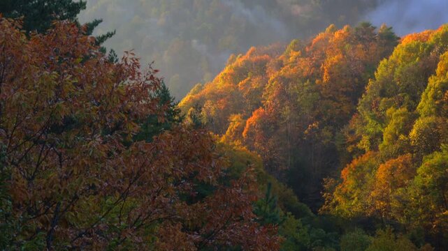 朝日当たる紅葉の山