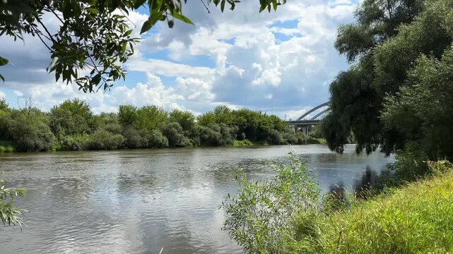 Panoramic view of lush green forest trees overlooking a wide calm river under a blue summer sky, nature landscape