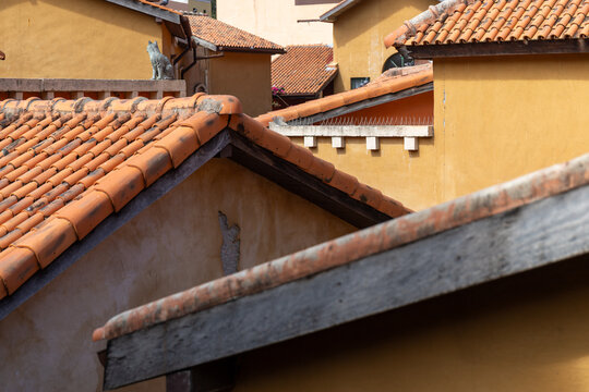 Terracotta tile roofs of Tuscan style buildings with a stone cat statue on a ledge