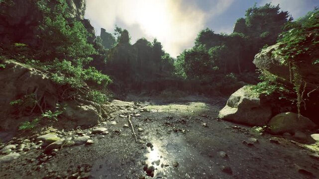 golden hour creek winding through clearing, warm glow on moss and foliage sets intimate mood for wellness, lifestyle and calming backgrounds, subtle wildlife