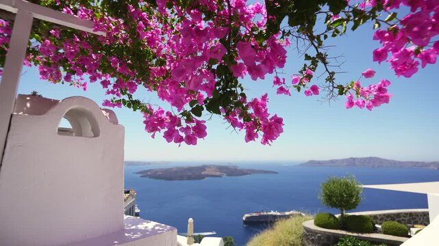 White architecture in Santorini island, Greece. Beautiful terrace with blooming pink flowers. Blue sea and the blue sky at sunny day. Travel and summer vacation concept. 
