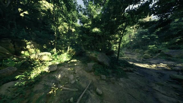 Riverbank root intersection with exposed roots gripping eroded rock, sunlight and shadow play across wet stones, sense of movement from nearby water, raw
