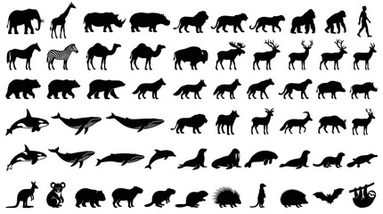 Fototapeta premium Black silhouettes of various wild animals and marine life on a white background