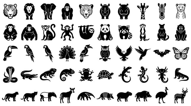 Comprehensive collection of black animal silhouette icons featuring wildlife mammals, birds, reptiles, and amphibians for graphic design