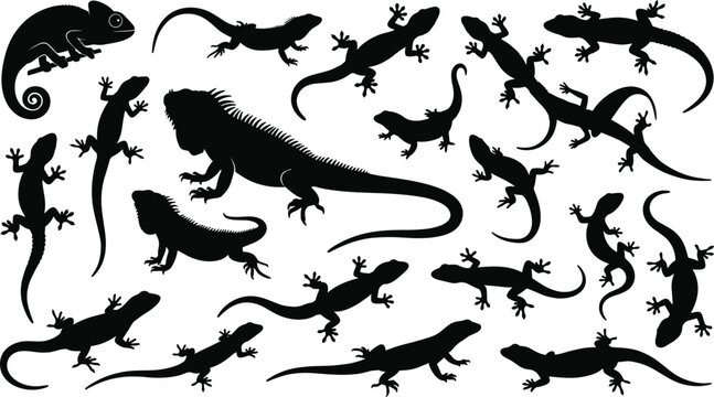 Reptile silhouette vector set featuring wild iguana chameleon gecko lizard and salamander shapes isolated on white background