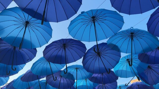 Blue umbrellas overlap in an outdoor display, festive decoration, summer leisure, vibrant pattern, holiday decoration.