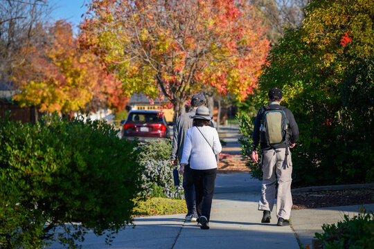 Autumn trees along the suburban street. People walking on the pedestrian footpath. California. USA.