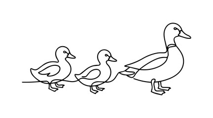 Fototapeta premium Minimalist Continuous One Line Drawing of Cute Swimming Ducklings Isolated on White