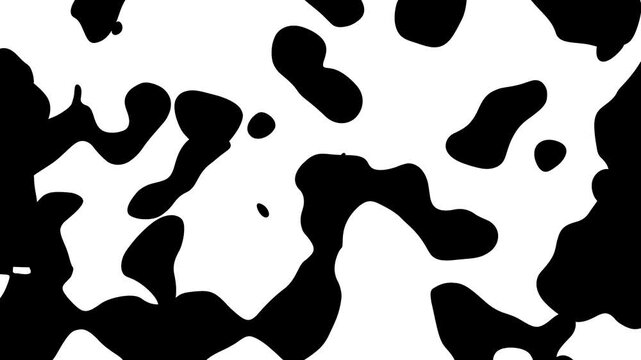 abstract black and white liquid blob background looping animation with slow organic morphing liquid movement.
