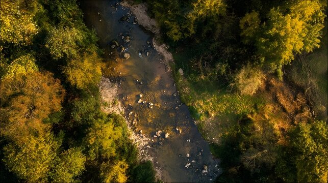 Minimal Autumn River Valley From Above with copy space