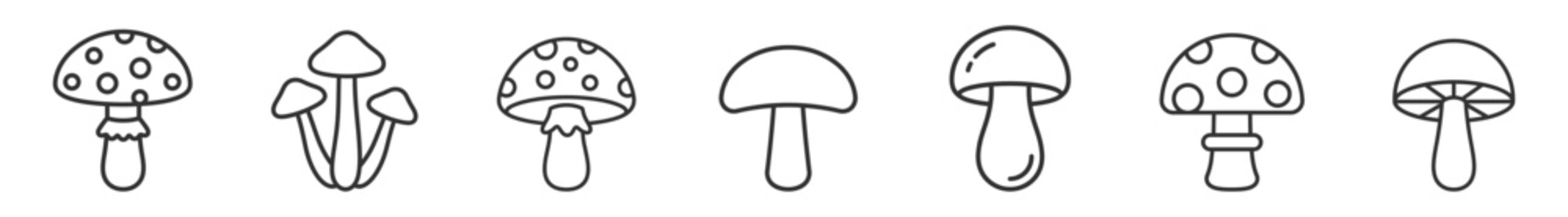 set of seven black line mushrooms icons collection, fungus illustration, botanical natural elements on transparent background