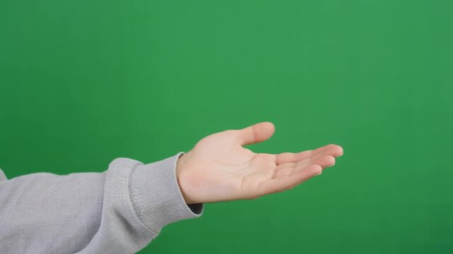 Clean human hand with an open palm gesture against a green screen for product showcases, website landing pages, and corporate presentation motion graphics overlays.