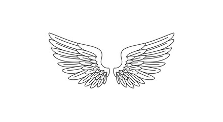 Fototapeta premium Outline of Angel Wings Spread Open on a White Background illustration drawing