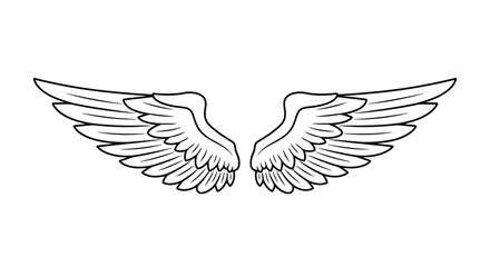 Fototapeta premium Outline of Angel Wings Spread Open on a White Background illustration drawing