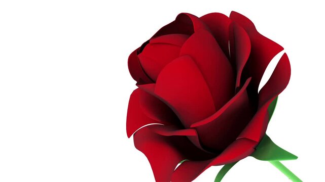 Close-up of a red rose bud slowly rotating in frame, shown as a stylized flower with green stem and petals against changing plain backgrounds, 3D animation