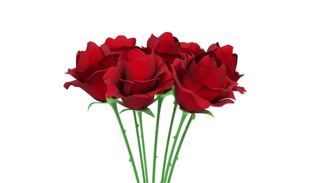 A bouquet of red roses gently rotates against white, black, and blue studio backgrounds in a clean floral 3D animation