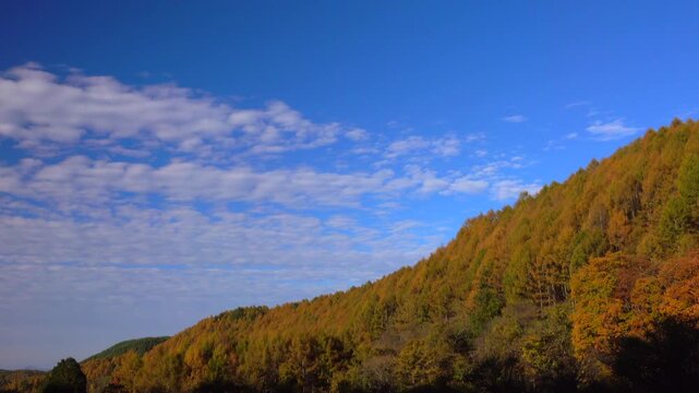 日当たる紅葉の山