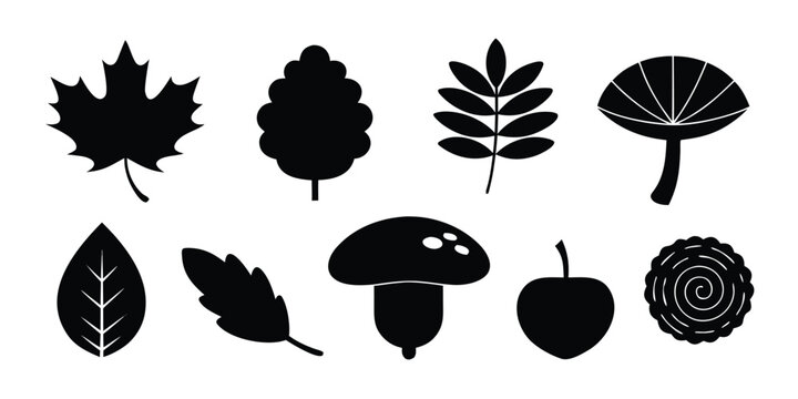 Collection of black autumn leaves mushrooms and apple on white background, isolated vector elements for design.