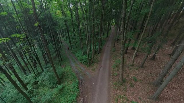 Overhead aerial drone footage of cyclist ascending left fork of Y junction through Czech forest, following trail curve uphill before transitioning to right fork. Complete fork navigation sequence visi