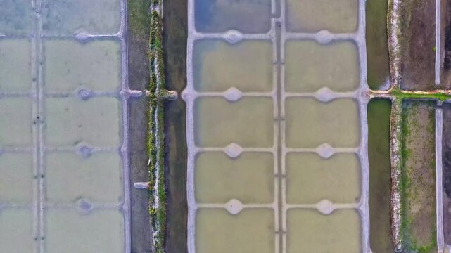 Aerial view of geometric salt pans and water ponds in the coastal landscape of France.