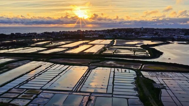 Aerial view of salt pans reflecting the golden sunset light along the coast of France.