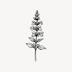 Obraz premium Simple black line drawing of a tall flowering plant with leaves.