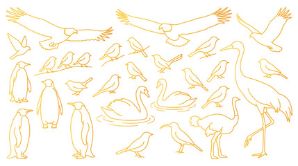 Fototapeta premium Birds collection outline vector illustration with various species of wild and farm avian.