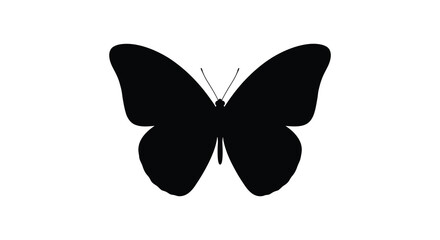 Black butterfly silhouette against a white background silhouette © Nasokon