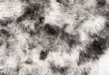 Detailed texture background of soft grey and white natural animal fur or synthetic faux fur pelt, ideal for fashion, interior design, and winter themes. © elsa 