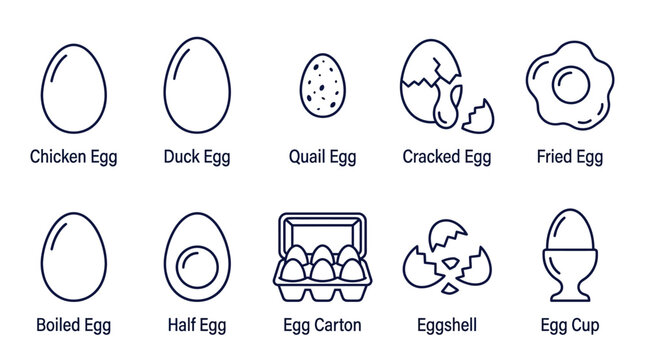 Minimalist Egg Vector Line Icons Set with Carton and Fried Egg