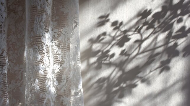 Soft morning sunlight casting plant leaf shadows on white wall with delicate lace curtain texture.