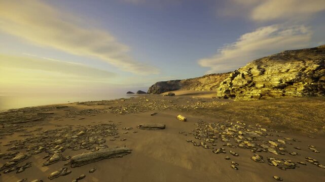 coastal survey scene with scattered debris and exposed rocks, ideal reference for erosion studies and habitat assessment under clear sky and steady light