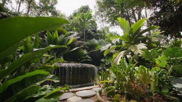 Beautiful Singapore Botanic Gardens with tropical rainforest exotic vegetation and lush natural landscapes creating an unforgettable destination in Asia