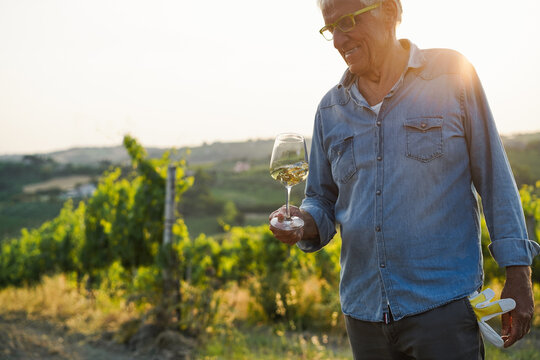 Wine producer mane tasting the product after harvest and grape fermentation process - Vinification, organic quality product and small business concept - Main focus on glass - UGC content