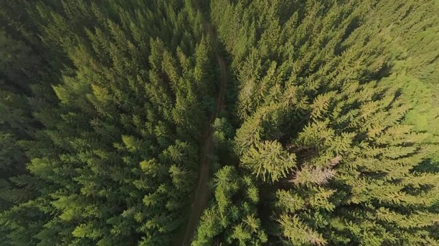 Alpine village panorama: aerial descent through forest path to settlement reveal with 360 landscape turn