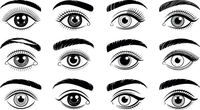 Female eyes and eyebrows vector set featuring mascara eyelashes linear makeup shapes black white line art