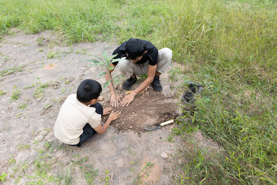 Asian father and child using their hands to cover soil while planting a young tree together in an outdoor natural area as a family environmental conservation activity.