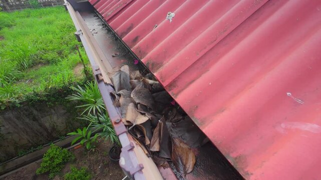 Clogged rain gutter, dirty roof gutter, with wet fallen leaves.