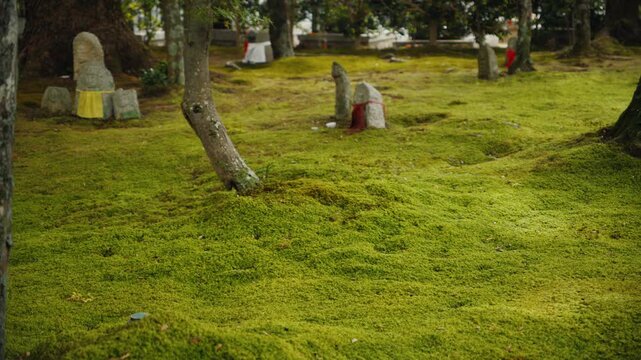 Traditional japanese moss garden with jizo statues