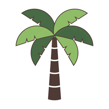 Stylized palm tree with broad fan-shaped fronds and segmented trunk in a minimalist flat design isolated on white background tropical nature concept