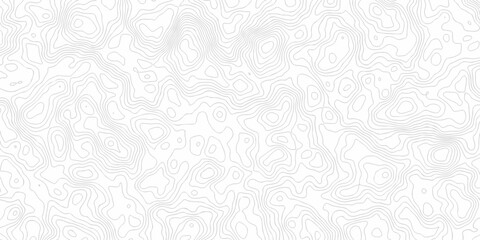abstract curve white spiral line topography paper elegant elevation map cartographic line design. Topography and geography map grid abstract wallpaper. © Art new design
